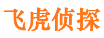 阜南外遇调查取证